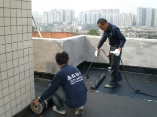 湖南旅游发展有限责任公司芙蓉东楼屋顶防水工程