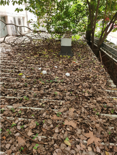 屋面漏水维信